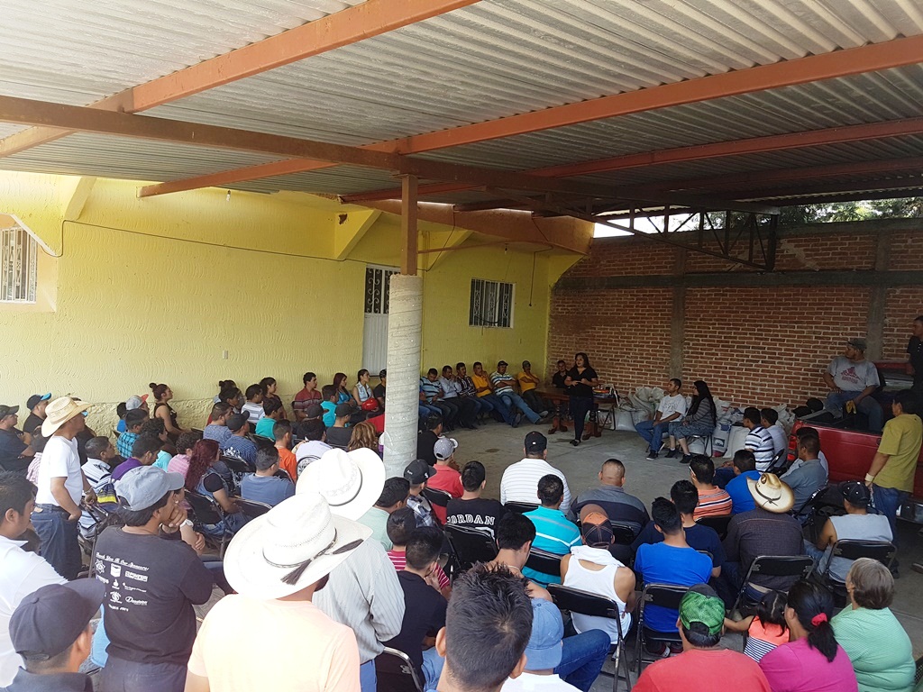 feria del empleo Cueramaro