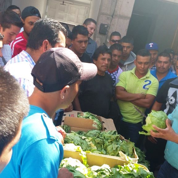 Curso de capacitación